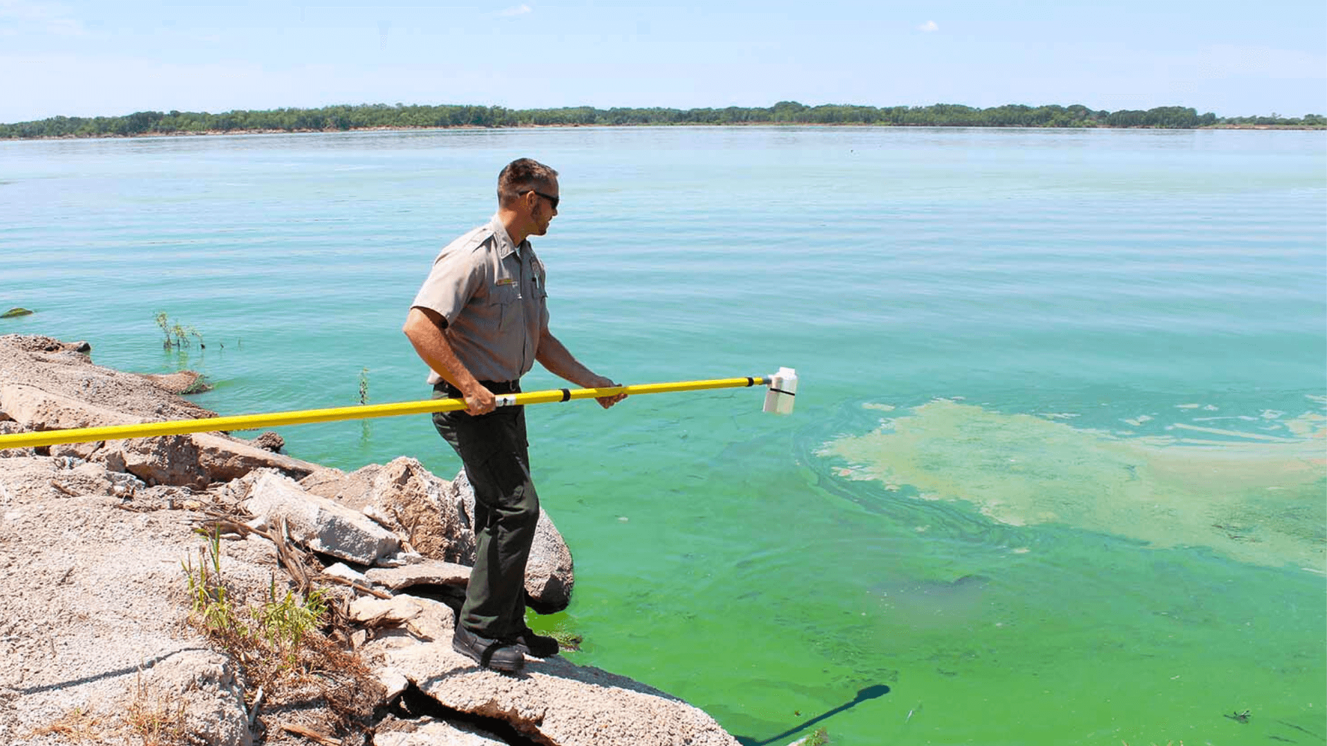 Read more about the article Harmful Algal Bloom Demonstration Program