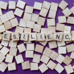 Read more about the article How Can Government Build Resilience in the Face of Crises?