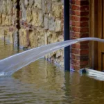 Read more about the article PERSPECTIVE: Mitigation Works, and So Does the BRIC Program