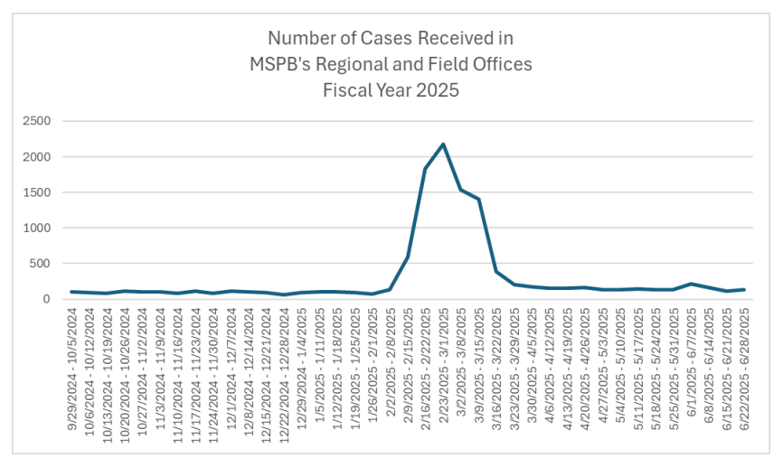 Read more about the article MSPB faces high workload, low staffing levels