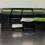 Read more about the article CBP Officers Seize More Than $600K in Cocaine at Hidalgo International Bridge